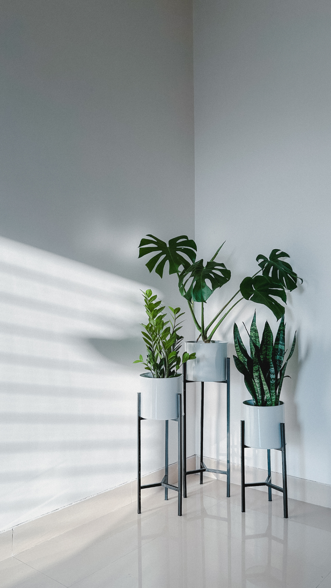 Japandi-Style Indoor Plant Stands