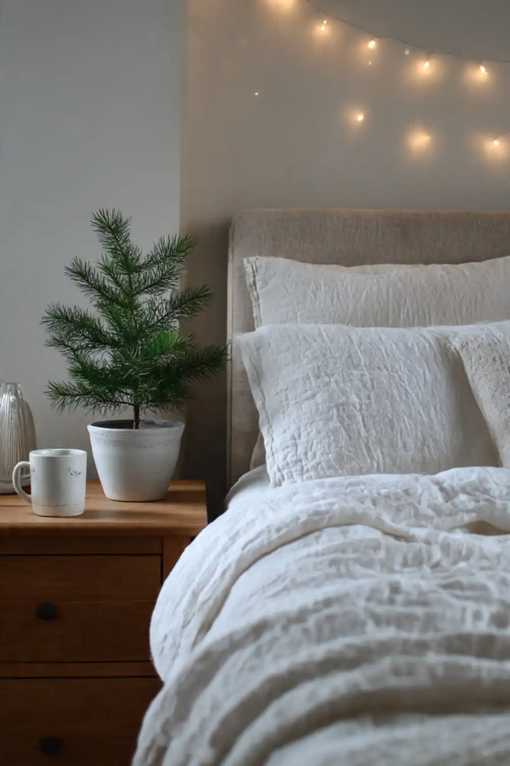 Cozy bedroom with potted plant and string lights.